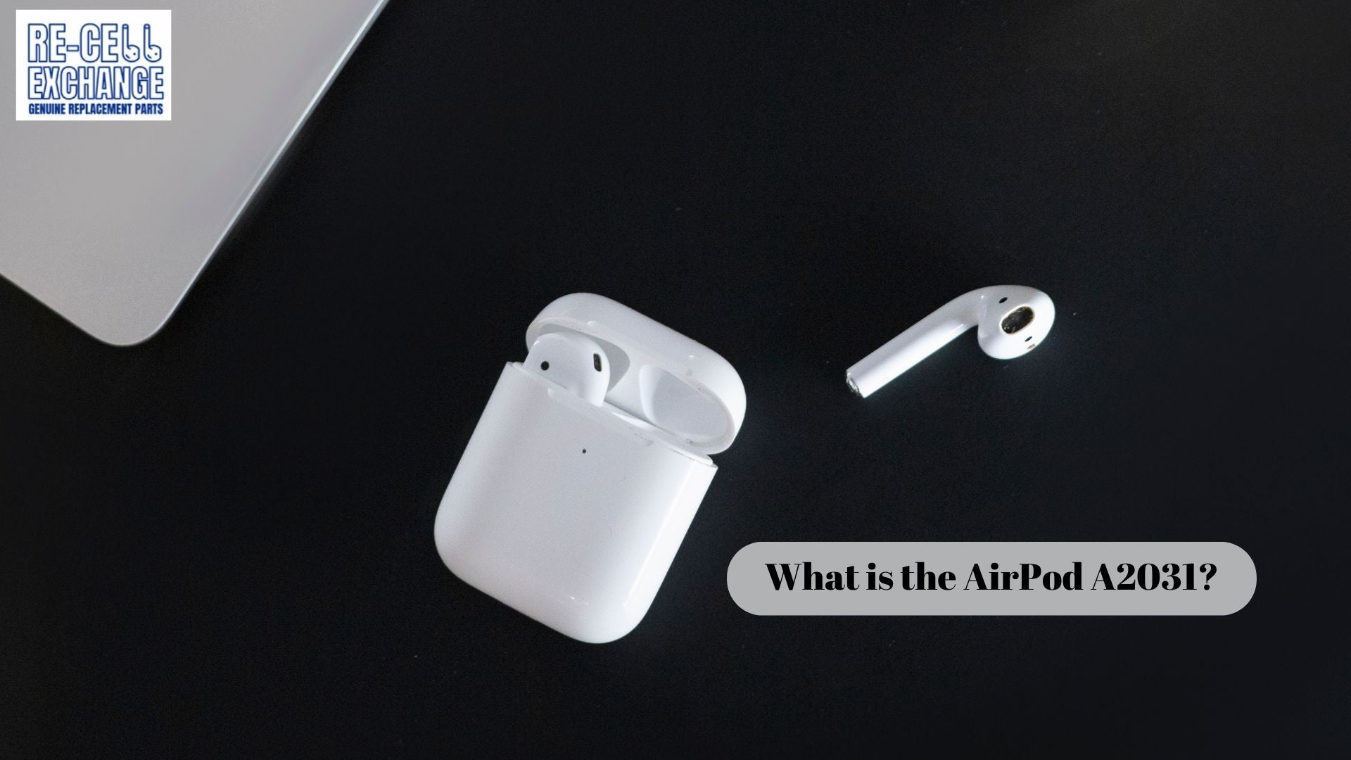 What is the AirPod A2031? – ReCellExchange